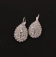 1 Pair Fashion Water Droplets Rhinestone Plating Inlay Rhinestones Silver Plated Women's Drop Earrings main image 4