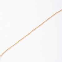 1 Piece Simple Style Solid Color Alloy Women's Anklet main image 5