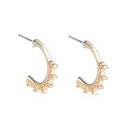 1 Paire Style Simple Forme C Alliage Boucles D'oreilles main image 2