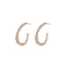 1 Pair Fashion U Shape Alloy Women's Earrings main image 4