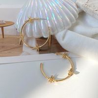 1 Pair Fashion Insect Alloy Women's Hoop Earrings sku image 1