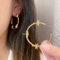 1 Pair Fashion Insect Alloy Women's Hoop Earrings main image 5