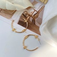 1 Pair Fashion Insect Alloy Women's Hoop Earrings main image 3