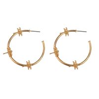 1 Pair Fashion Insect Alloy Women's Hoop Earrings main image 4