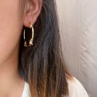 1 Pair Fashion Insect Alloy Women's Hoop Earrings main image 2