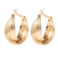 1 Pair Fashion Stripe Solid Color Metal Women's Hoop Earrings main image 5
