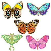 Einfacher Stil Schmetterling Legierung Überzug Frau Broschen main image 4