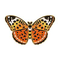 Mode Papillon Alliage Placage Unisexe Broches sku image 3