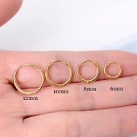 Mode Géométrique Acier Au Titane Placage Des Boucles D'oreilles 1 Pièce sku image 9