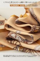 Women's French Style Carriage Polyester Printing Silk Scarves main image 2