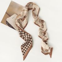 Women's French Style Carriage Polyester Printing Silk Scarves main image 4