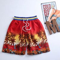 Hombres Playa Casual Árbol De Coco Pantalones Cortos Pantalones Rectos sku image 2