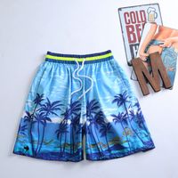 Hombres Playa Casual Árbol De Coco Pantalones Cortos Pantalones Rectos sku image 5