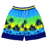 Hombres Playa Casual Árbol De Coco Pantalones Cortos Pantalones Rectos sku image 18