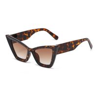 Hip-hop Color Block Leopard Pc Cat Eye Full Frame Women's Sunglasses sku image 3