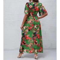 Women's Regular Dress Elegant V Neck Printing Short Sleeve Flower Maxi Long Dress Holiday main image 5