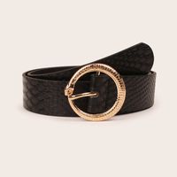 Simple Style Snakeskin Leopard Pu Leather Alloy Plating Women's Leather Belts 1 Piece main image 4