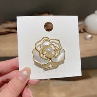Moda Oval Flor Mariposa Cobre Embutido Diamantes De Imitación Perla Mujeres Broches sku image 10