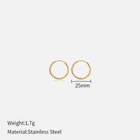 1 Pair Simple Style Geometric Stainless Steel Plating Earrings sku image 6