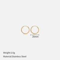 1 Pair Simple Style Geometric Stainless Steel Plating Earrings sku image 5