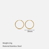 1 Pair Simple Style Geometric Stainless Steel Plating Earrings sku image 11
