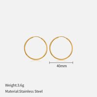 1 Pair Simple Style Geometric Stainless Steel Plating Earrings sku image 12