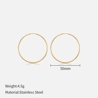 1 Pair Simple Style Geometric Stainless Steel Plating Earrings sku image 13