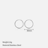 1 Pair Simple Style Geometric Stainless Steel Plating Earrings sku image 7