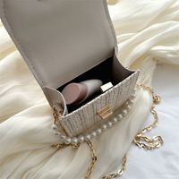 Women's Mini Straw Solid Color Elegant Pearls Lock Clasp Straw Bag main image 6
