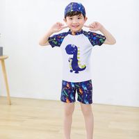 Boy's Simple Style Cartoon Polyester One Pieces sku image 10