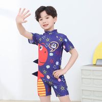 Boy's Simple Style Dinosaur Polyester One Pieces main image 5