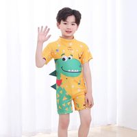 Boy's Simple Style Dinosaur Polyester One Pieces main image 6