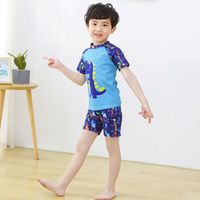 Boy's Simple Style Cartoon Polyester One Pieces main image 5
