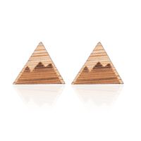 1 Pair Fashion Map Wood Women's Earrings Ear Studs sku image 3