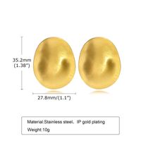 1 Pair Lady Geometric Plating Stainless Steel Earrings main image 6