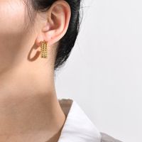 1 Pair Lady Geometric Stainless Steel Plating Earrings main image 2