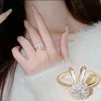 1 Piece Fashion Rabbit Heart Shape Alloy Plating Inlay Rhinestones Women's Rings Bracelets main image 4