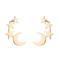 1 Paire Style Simple Star Lune Acier Inoxydable Boucles D'oreilles sku image 3