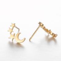 1 Paire Style Simple Star Lune Acier Inoxydable Boucles D'oreilles main image 2