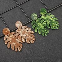 1 Pair Fashion Leaf Plastic Resin Polishing Women's Drop Earrings main image 2