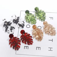 1 Pair Fashion Leaf Plastic Resin Polishing Women's Drop Earrings main image 1