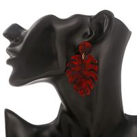 1 Pair Fashion Leaf Plastic Resin Polishing Women's Drop Earrings main image 4