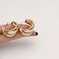 1 Pair Fashion Geometric Metal Plating Women's Earrings main image 3