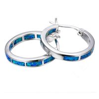 1 Pair Retro Multicolor Alloy Enamel Rhinestones Women's Hoop Earrings sku image 4