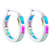 1 Pair Retro Multicolor Alloy Enamel Rhinestones Women's Hoop Earrings sku image 6
