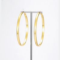 1 Pair Exaggerated Circle Plating Iron Hoop Earrings main image 9