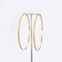 1 Pair Exaggerated Circle Plating Iron Hoop Earrings main image 4