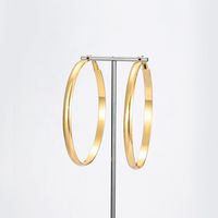 1 Pair Exaggerated Circle Plating Iron Hoop Earrings sku image 1