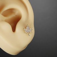 Fashion Leaf Butterfly Titanium Steel Plating Inlay Zircon Ear Studs 1 Piece main image 4
