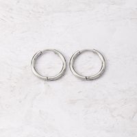 1 Pair Simple Style Circle Metal Women's Hoop Earrings main image 4
